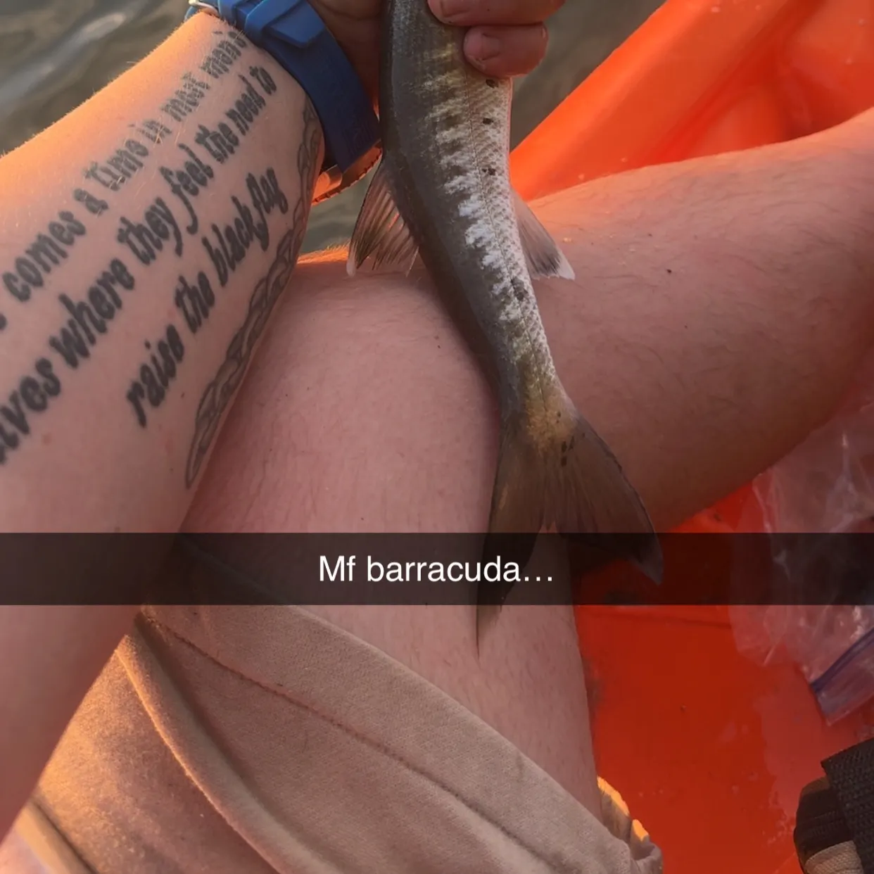 recently logged catches