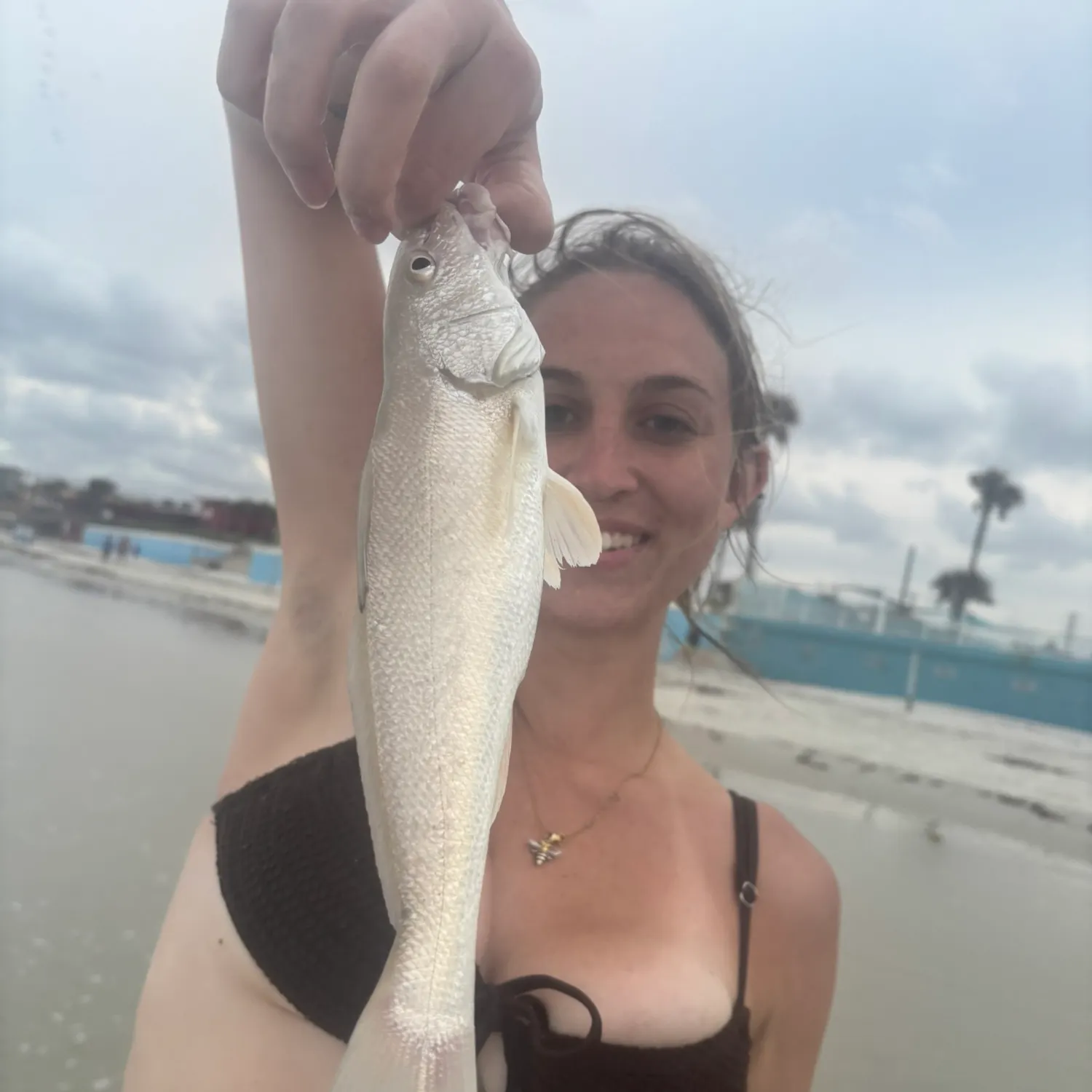 The most recent Gulf kingcroaker catches on Fishbrain