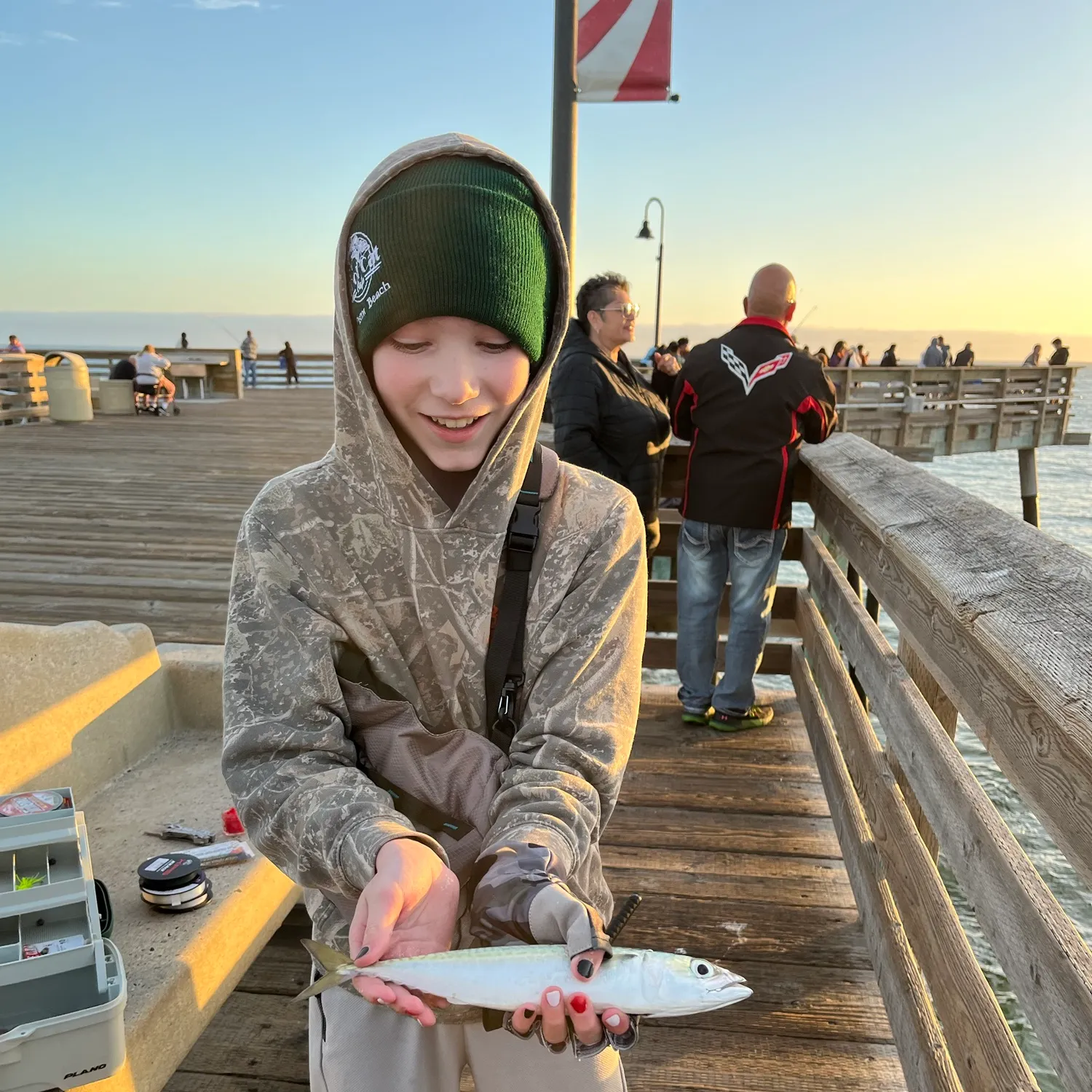 Surf smelt caught on Fishbrain