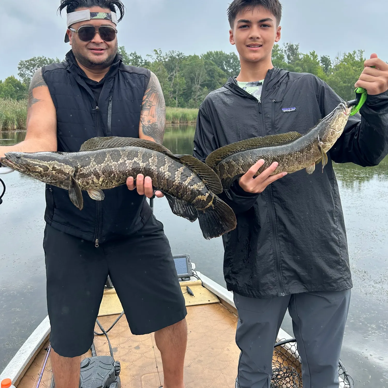 Northern snakehead caught on Fishbrain