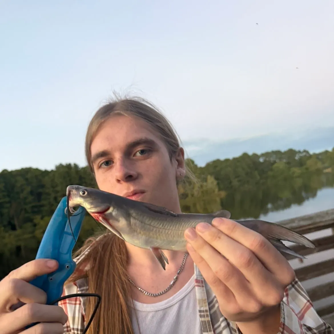 Channel catfish caught on Fishbrain