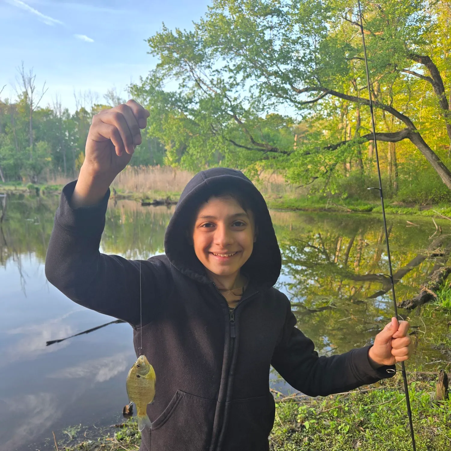 The most recent Bluegill catches on Fishbrain