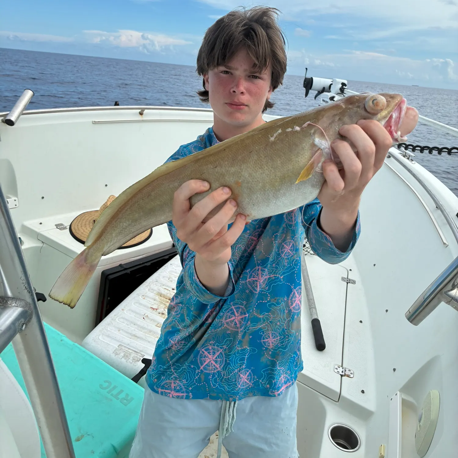 The most recent Silver hake catches on Fishbrain