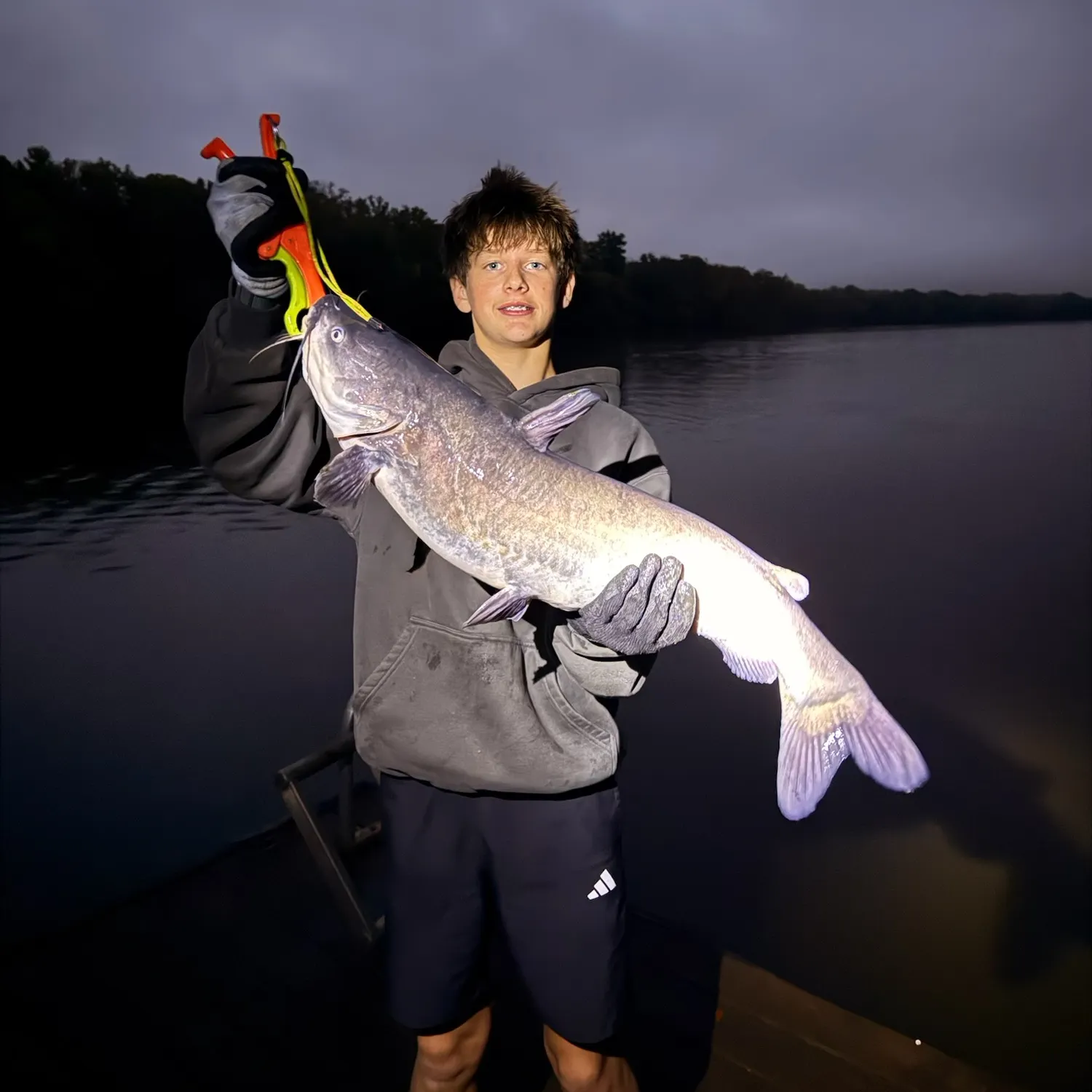 Blue catfish caught on Fishbrain