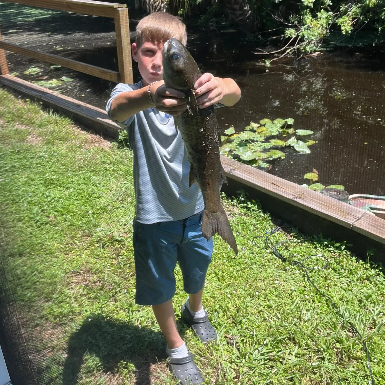 most liked catch image