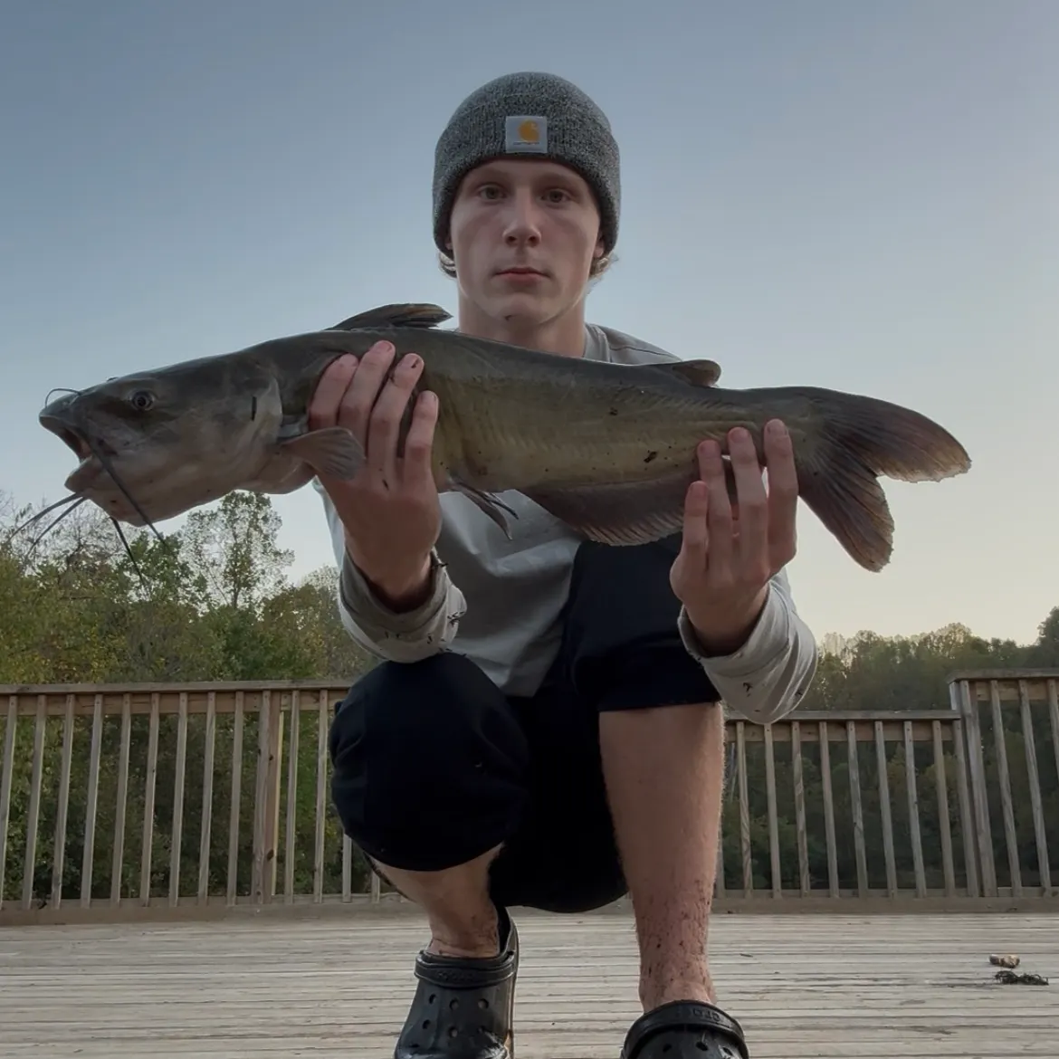 Channel catfish caught on Fishbrain