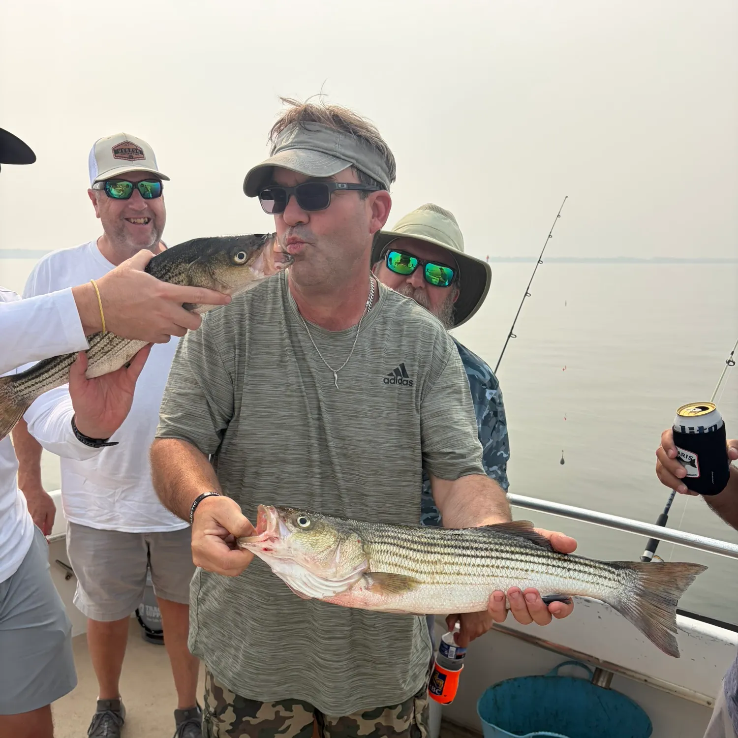 Striped bass caught on Fishbrain