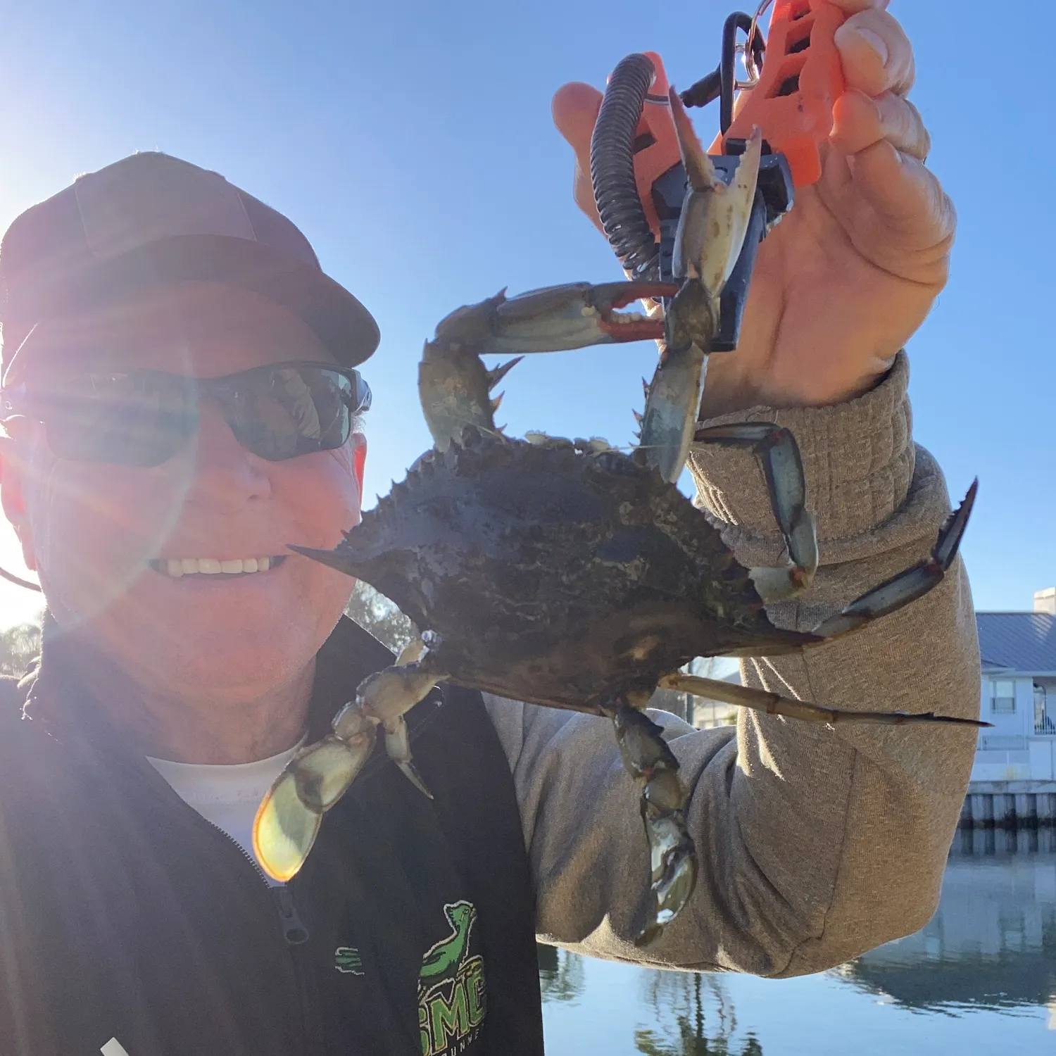 The most recent Blue crab catches on Fishbrain