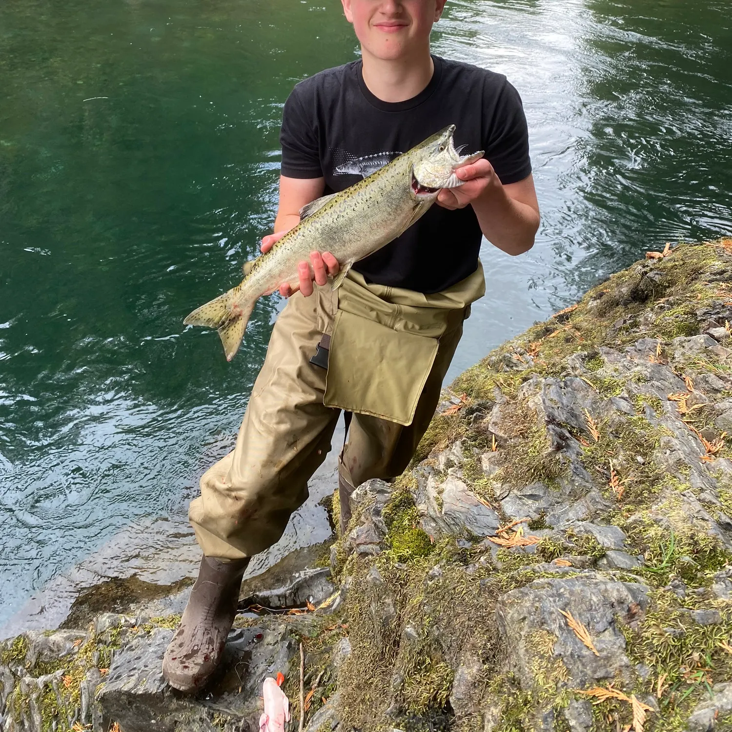 The most recent Chinook salmon catches on Fishbrain