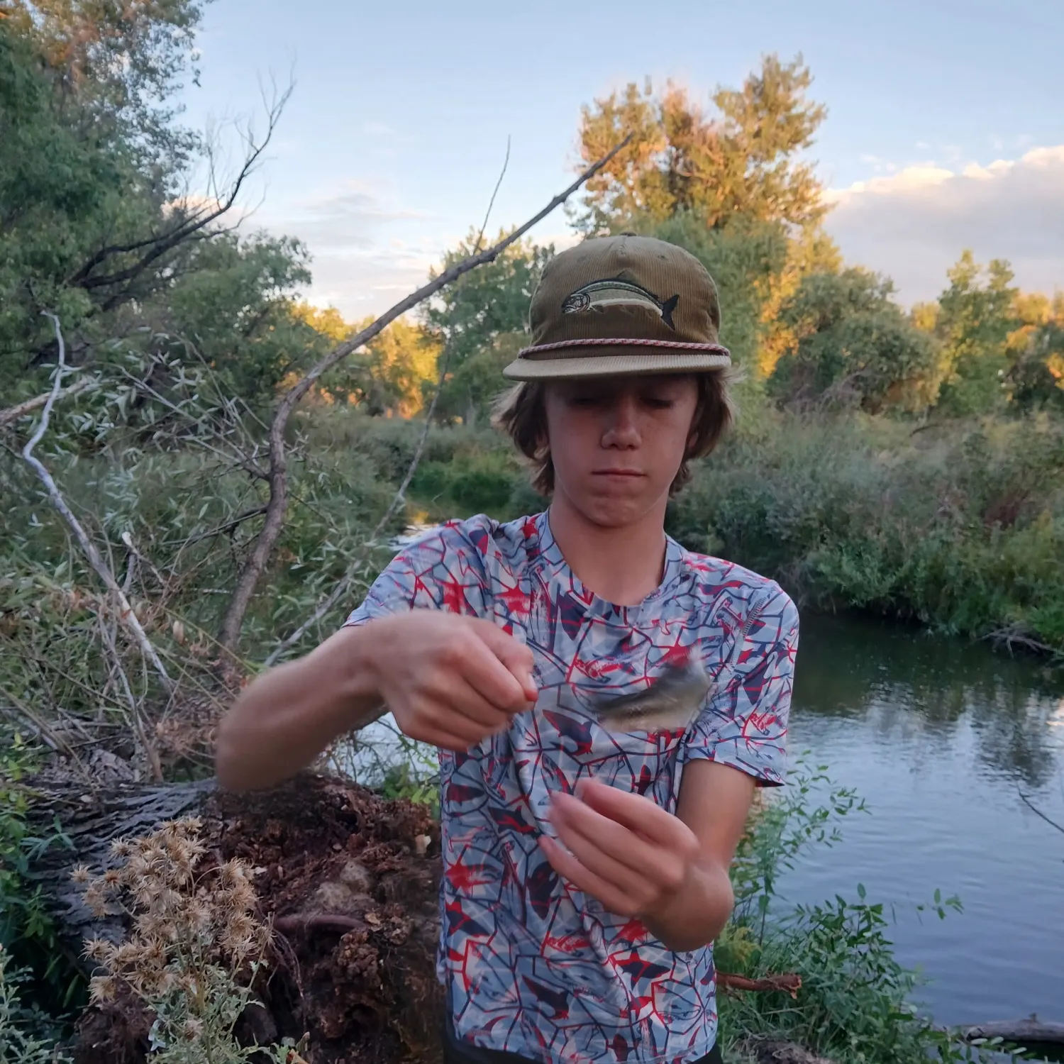 Creek chub caught on Fishbrain