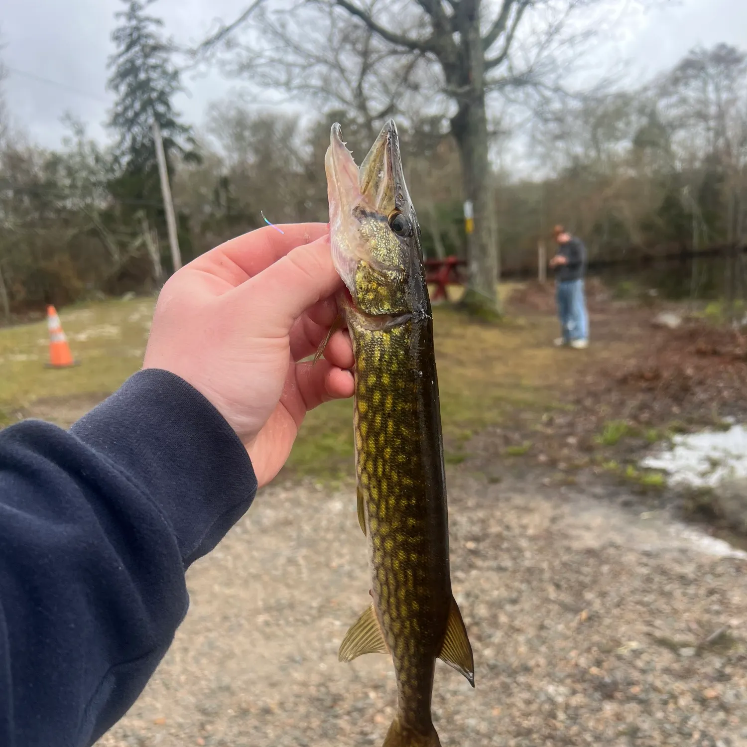 catch