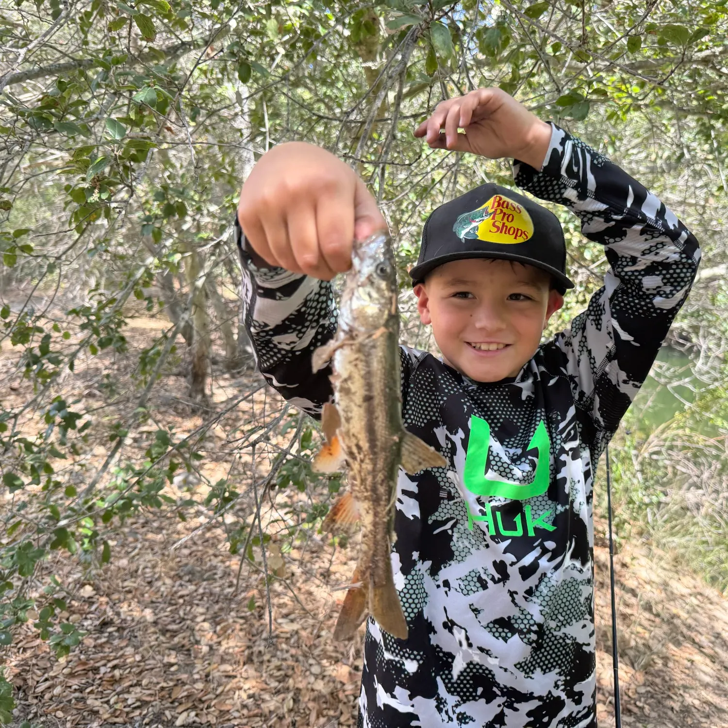 Sacramento pikeminnow caught on Fishbrain