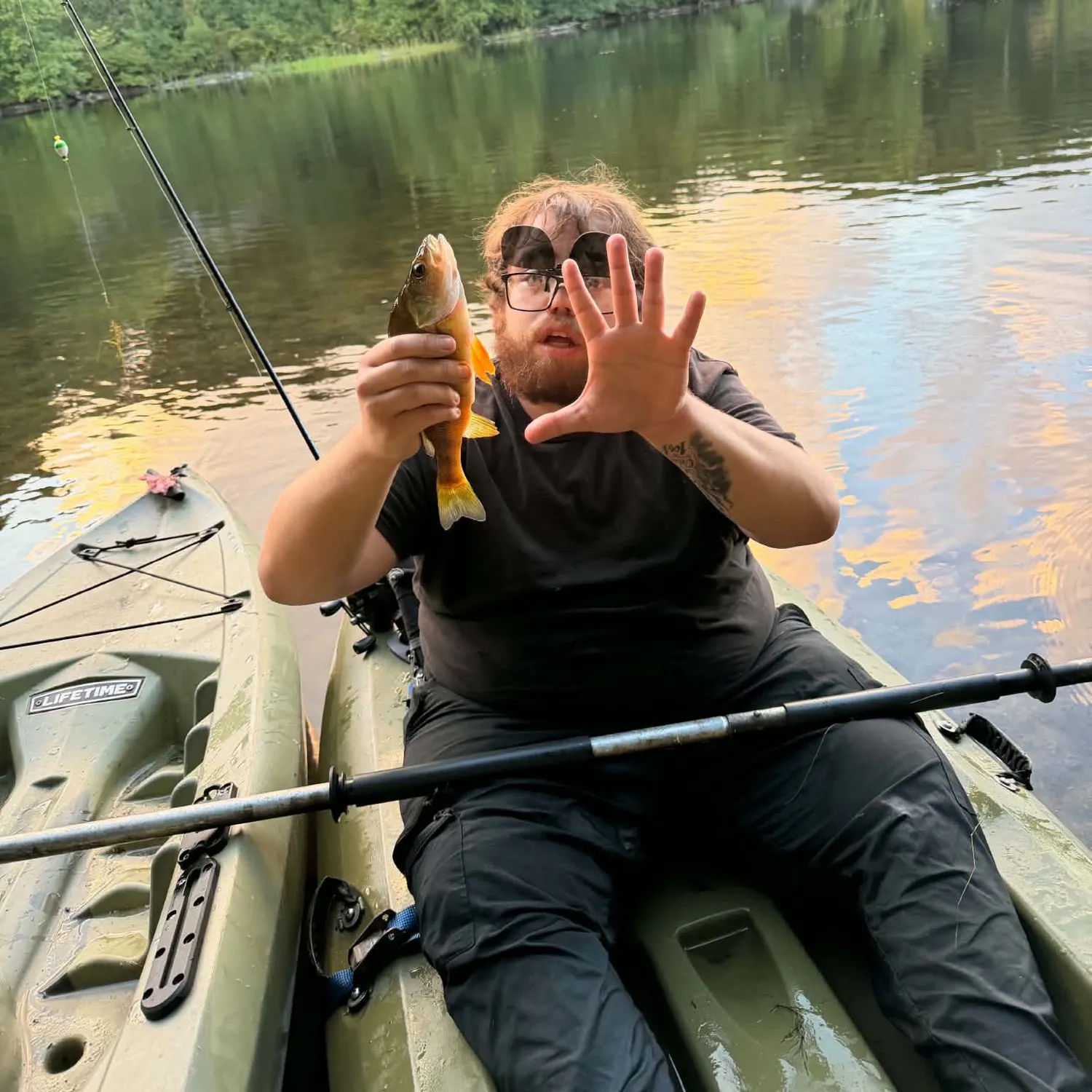 Yellow perch caught on Fishbrain