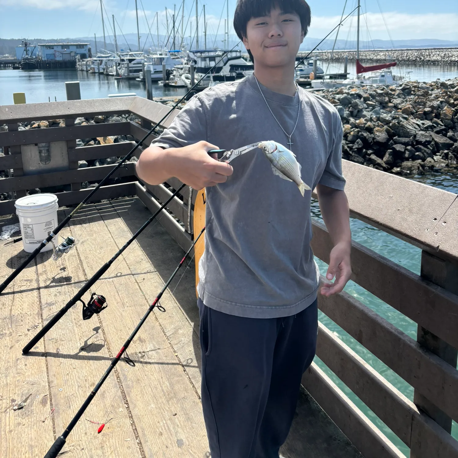 The most recent Mooneye catches on Fishbrain