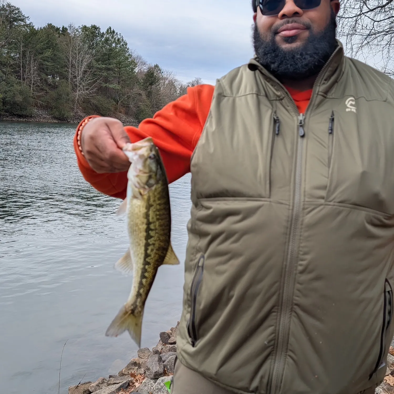 The most recent Spotted bass catches on Fishbrain