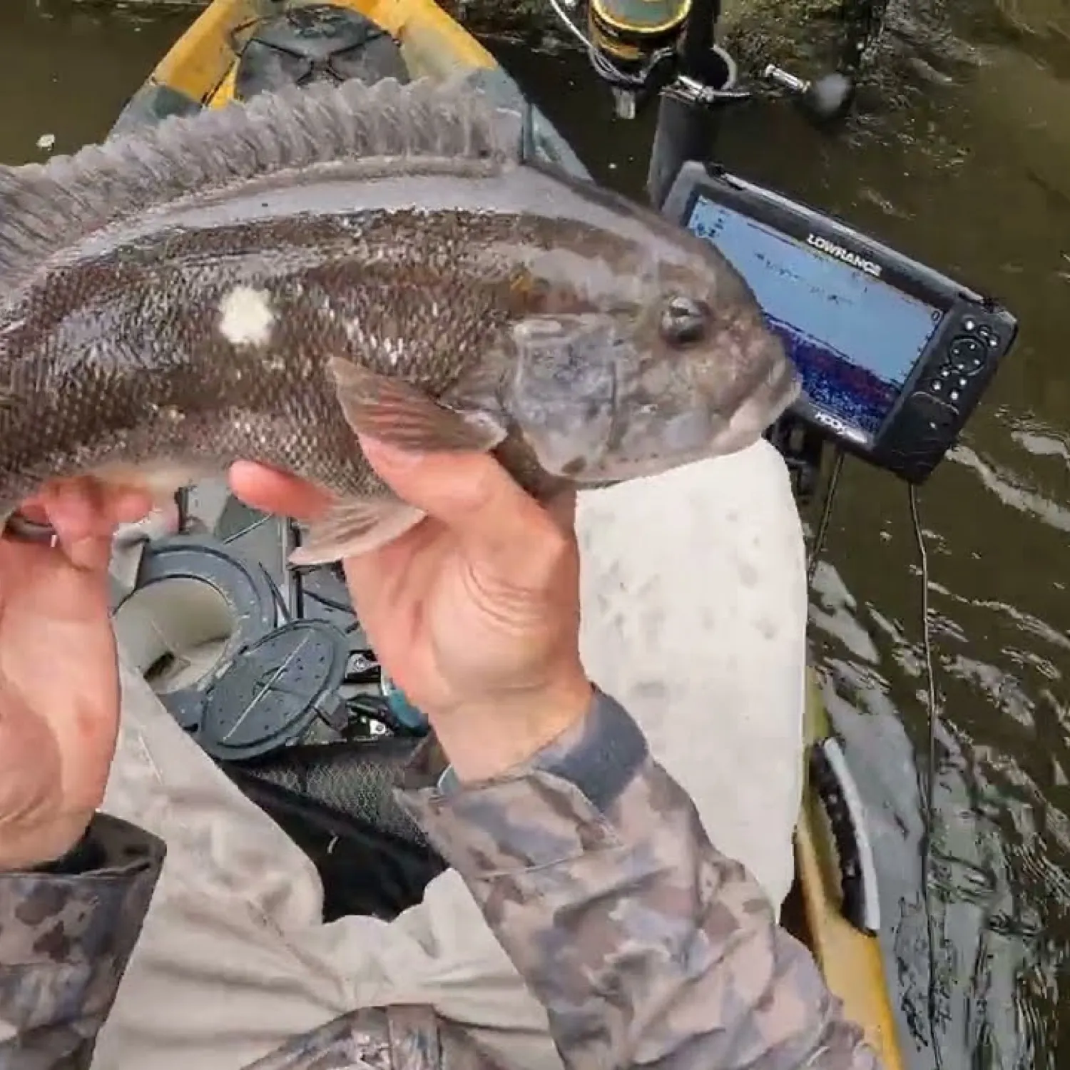most liked catch image