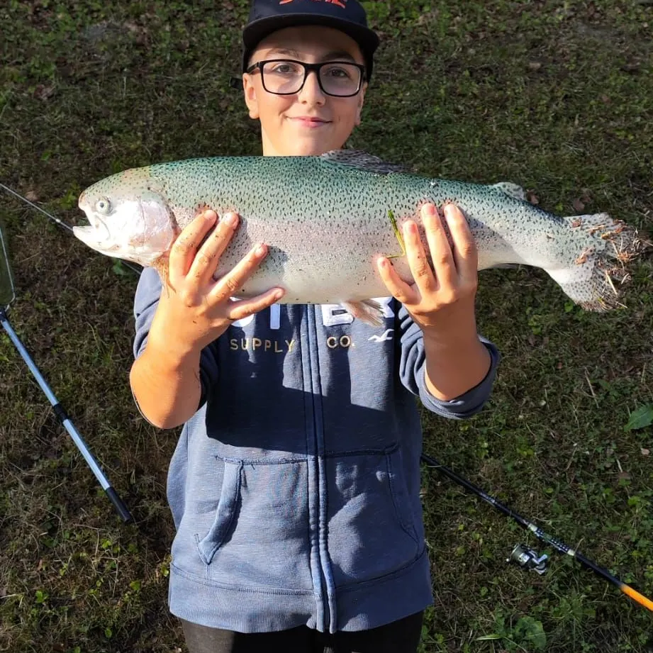 Rainbow trout caught on Fishbrain