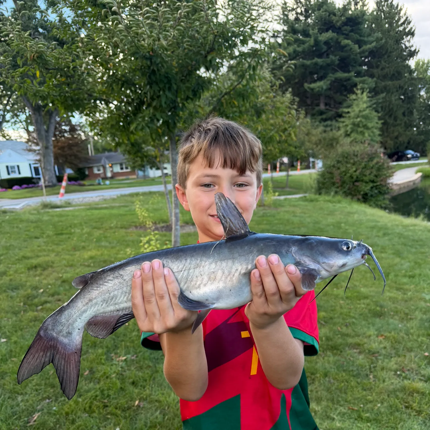 Channel catfish caught on Fishbrain