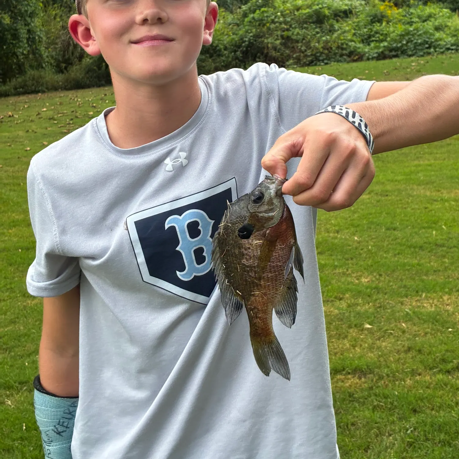 Bluegill caught on Fishbrain