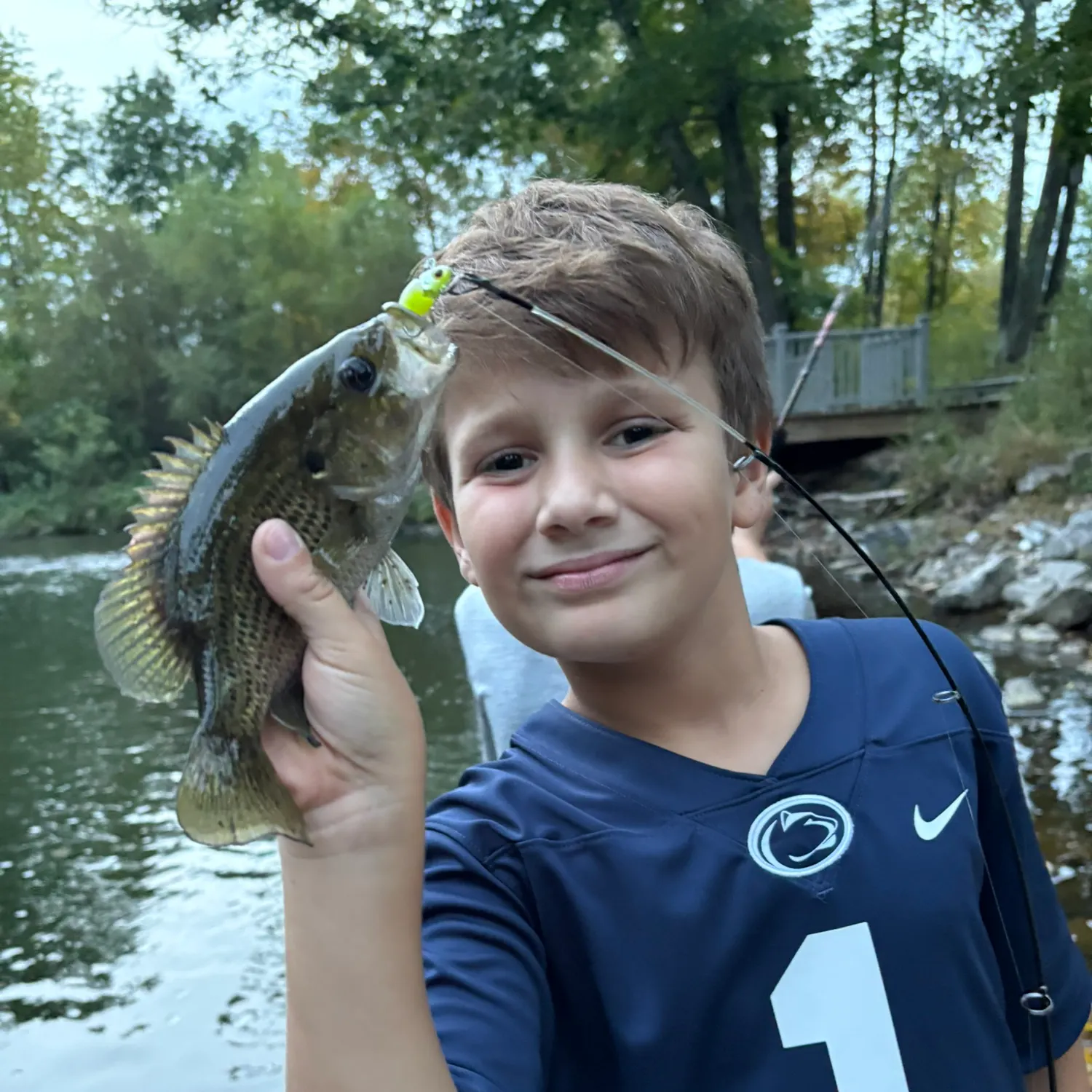 Rock bass caught on Fishbrain