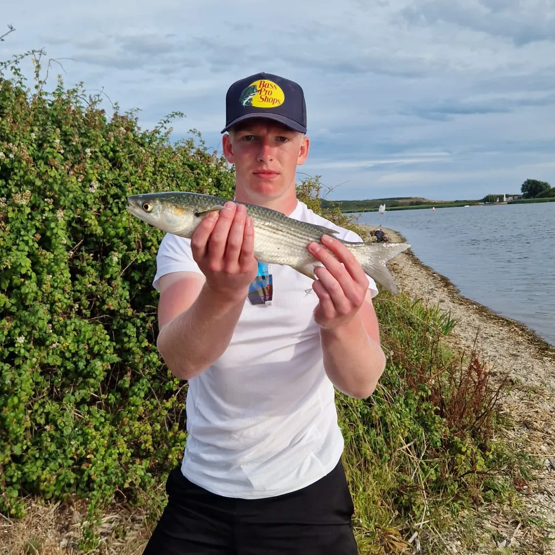 The most recent Thinlip grey mullet catches on Fishbrain