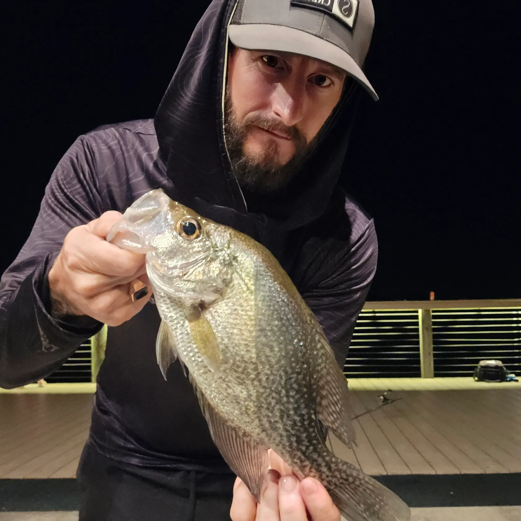 Black crappie caught on Fishbrain