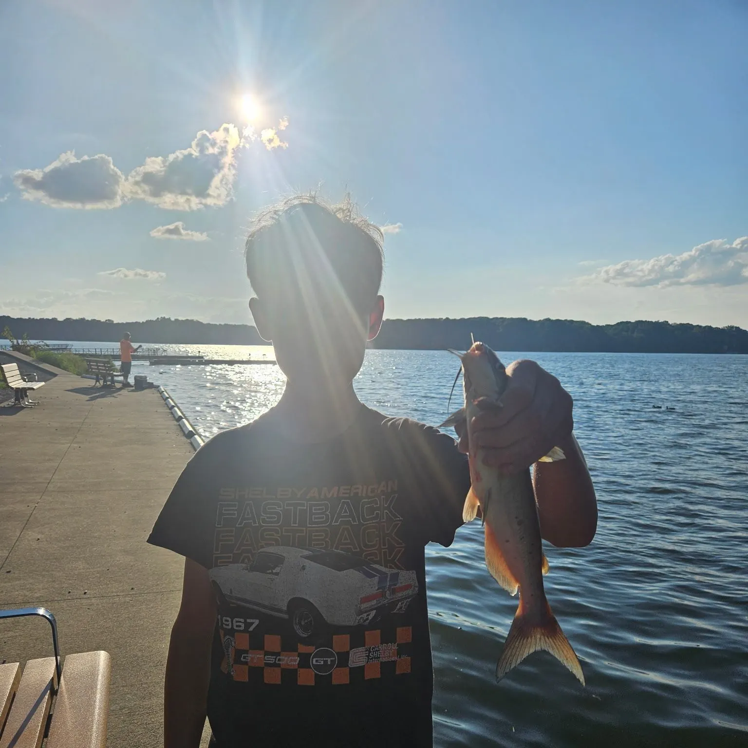 Channel catfish caught on Fishbrain