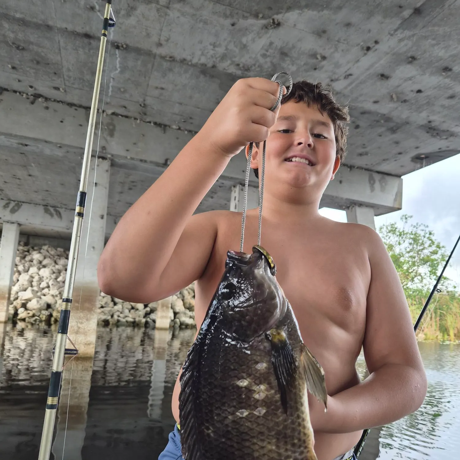 The most recent Mozambique tilapia catches on Fishbrain