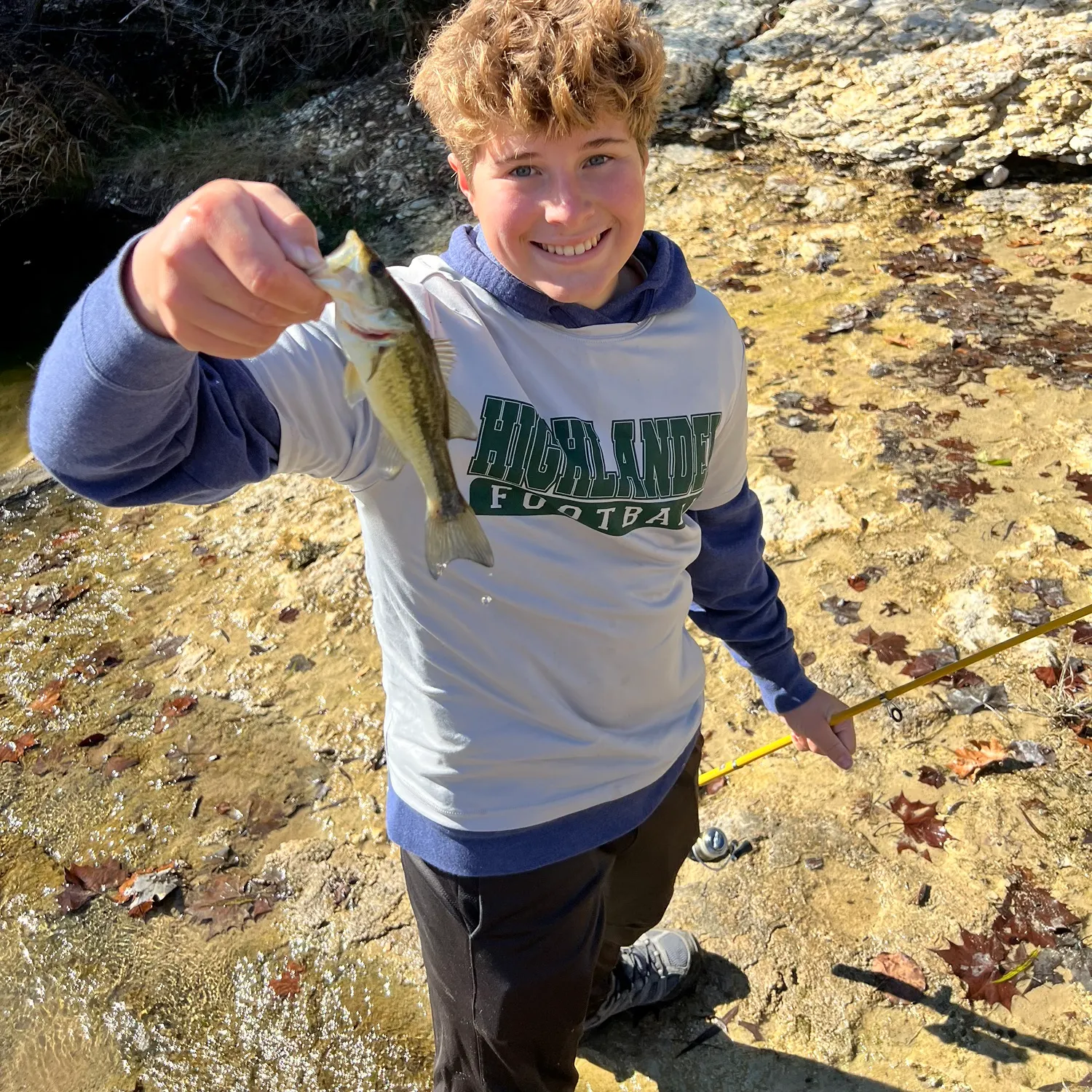 The most recent Atlantic goliath grouper catches on Fishbrain