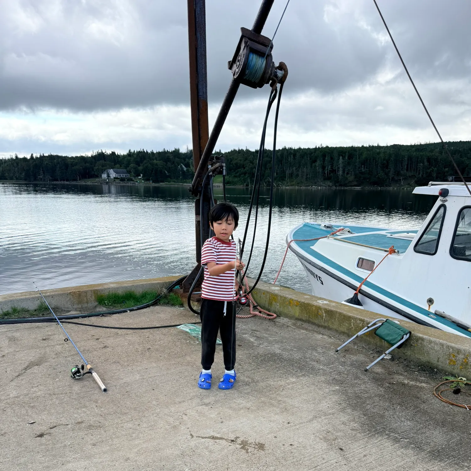 Atlantic mackerel caught on Fishbrain