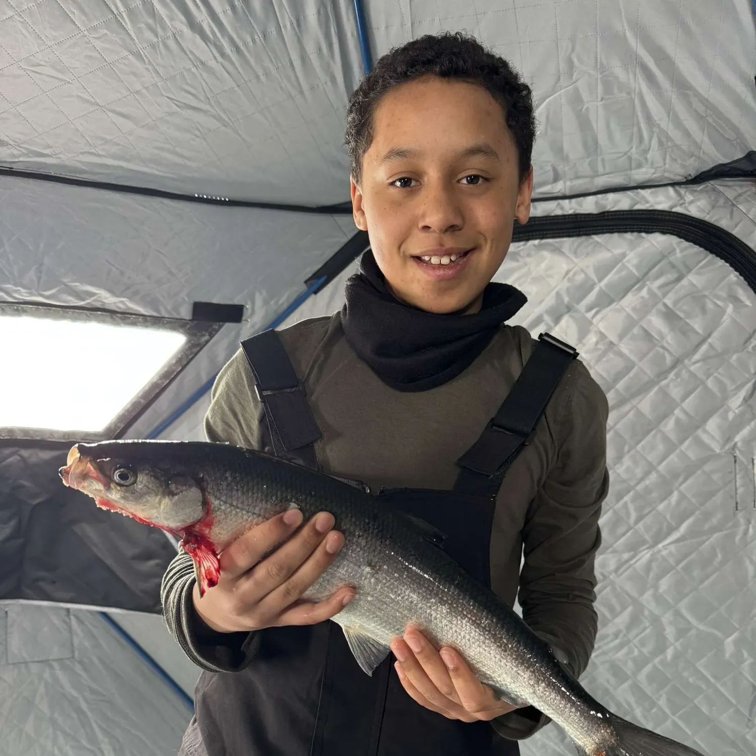 The most recent Lake whitefish catches on Fishbrain