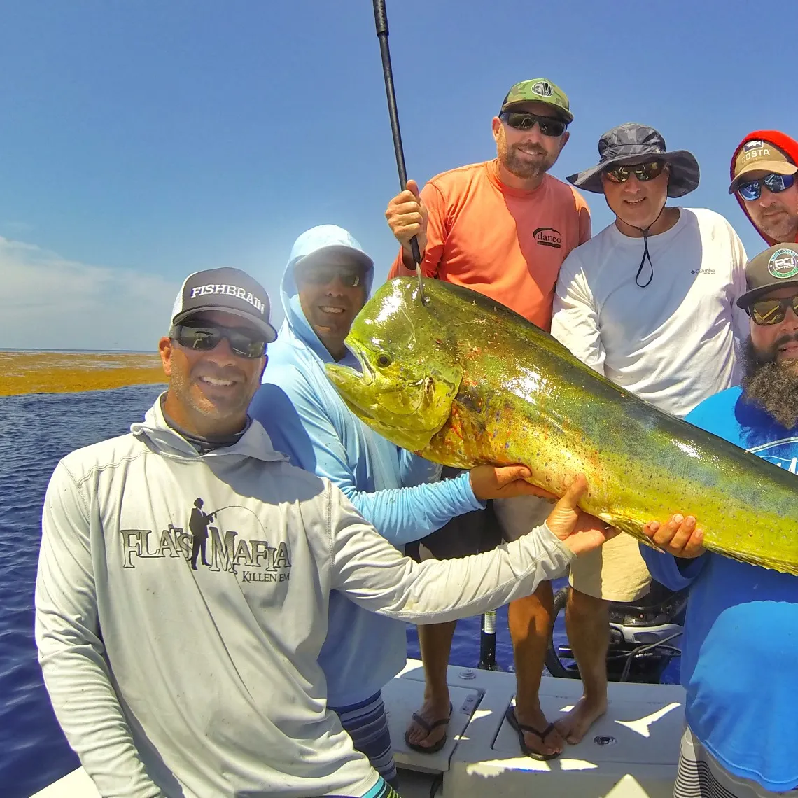 The most popular recent Common dolphinfish catch on Fishbrain