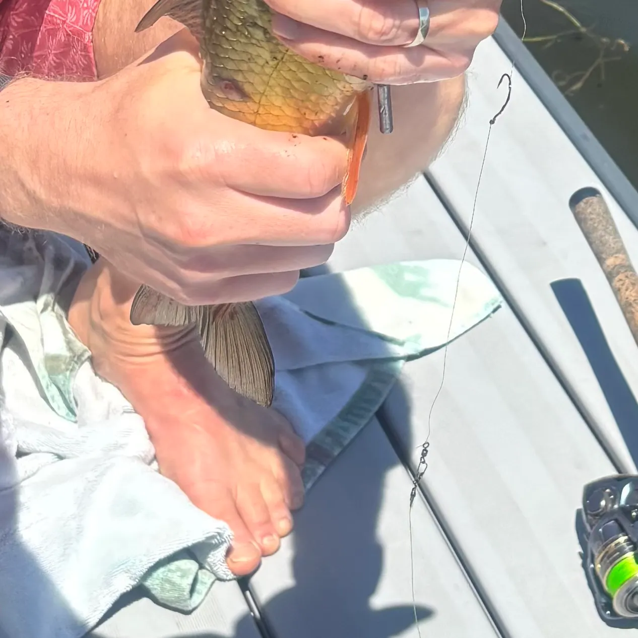 catch