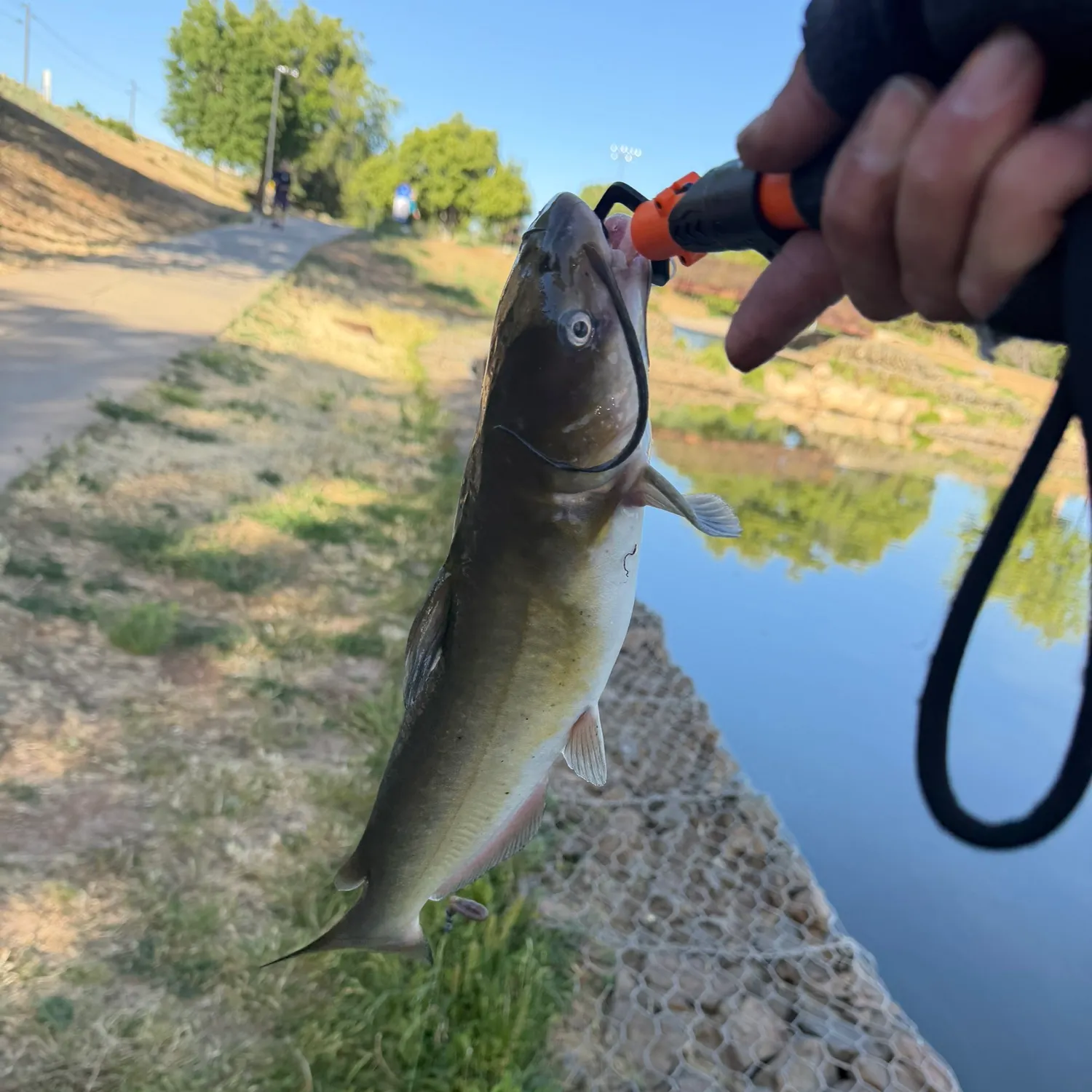 catch