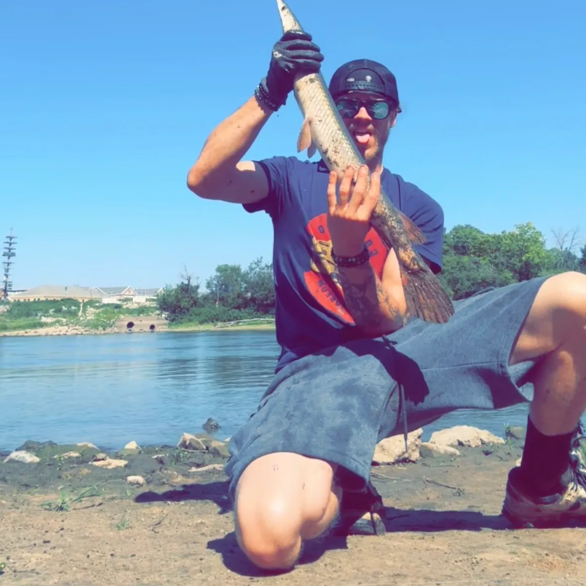 Longnose gar caught on Fishbrain