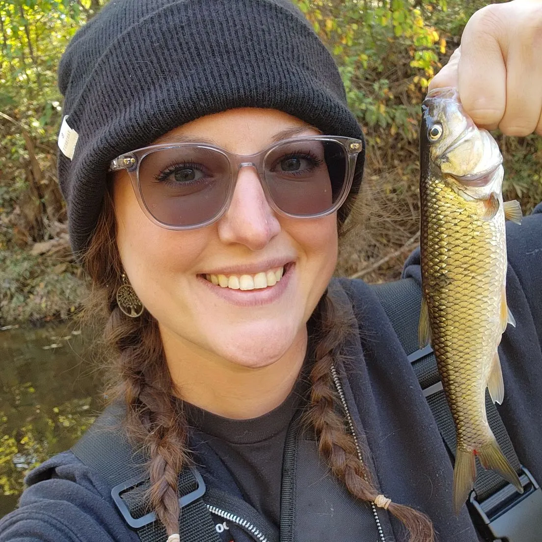 Fallfish caught on Fishbrain