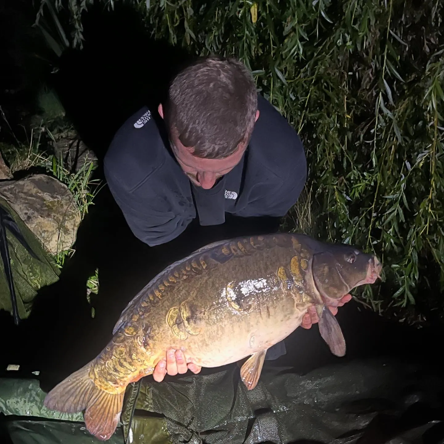 The most recent Mirror carp catches on Fishbrain