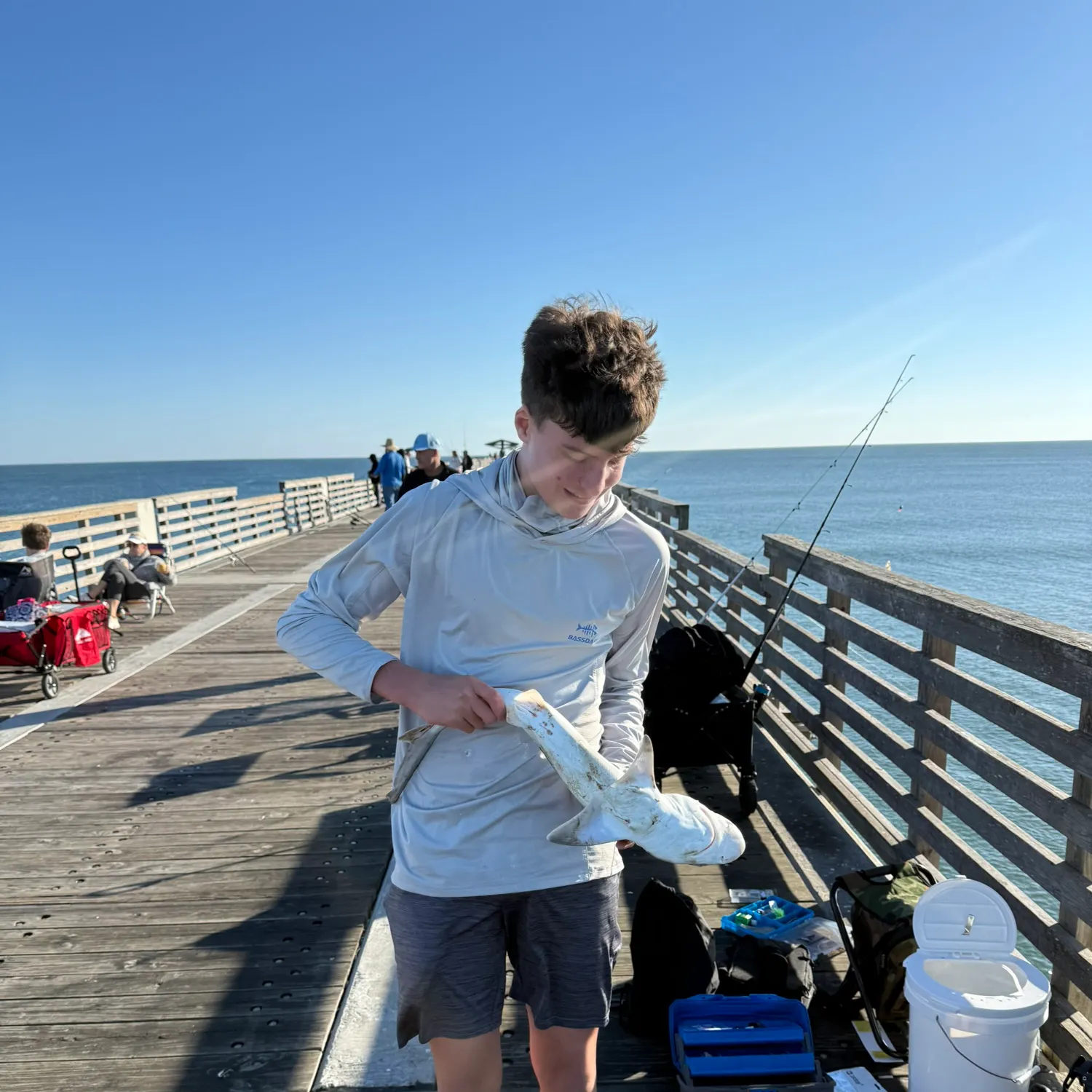 The most recent Bull shark catches on Fishbrain