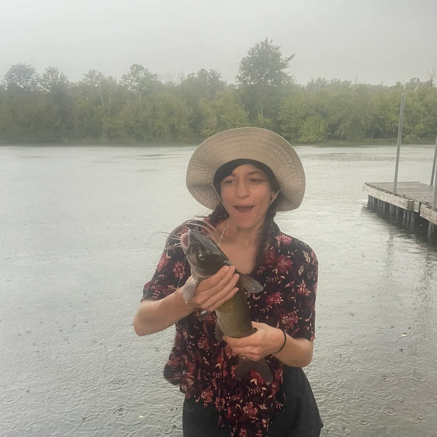 Channel catfish caught on Fishbrain