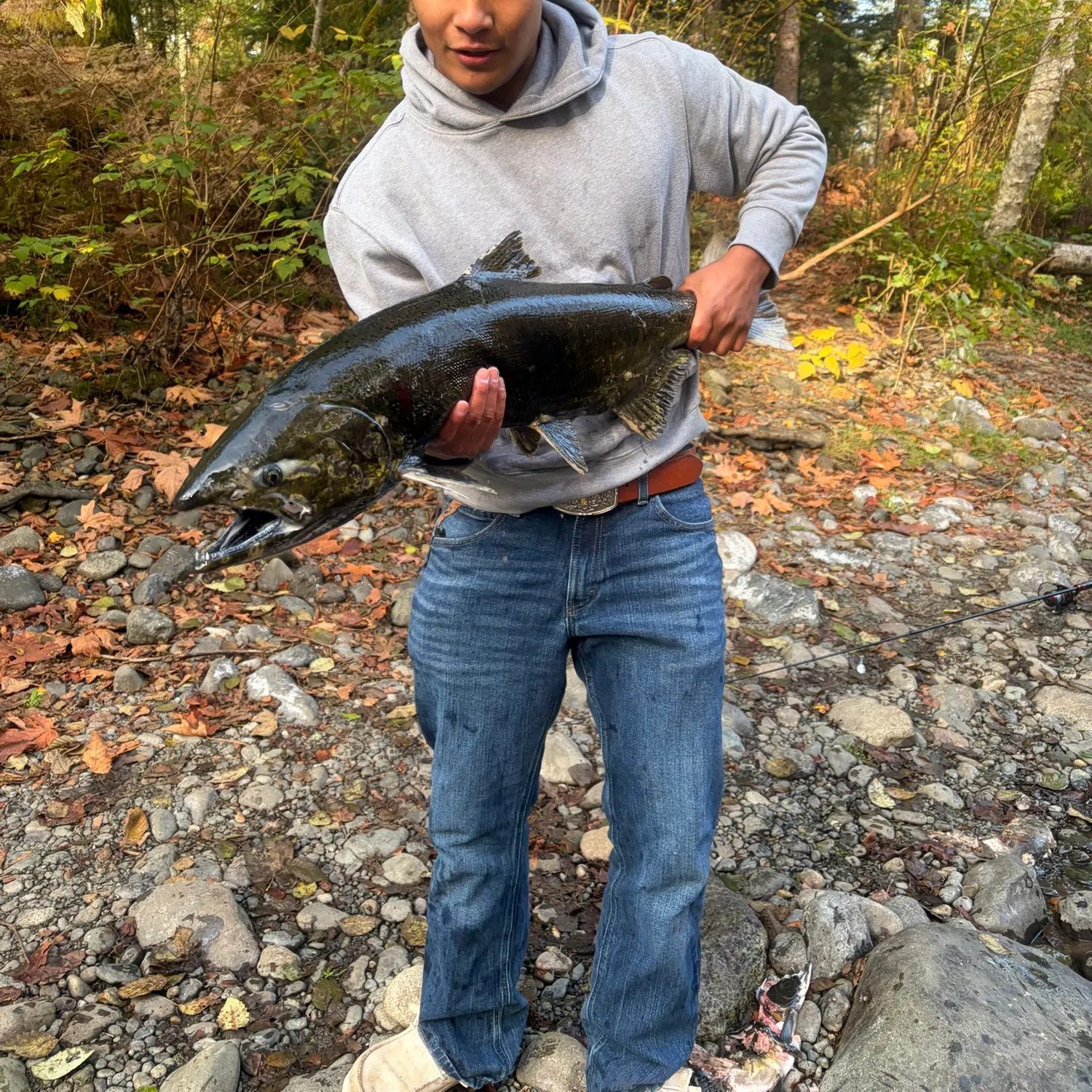 Chum salmon caught on Fishbrain