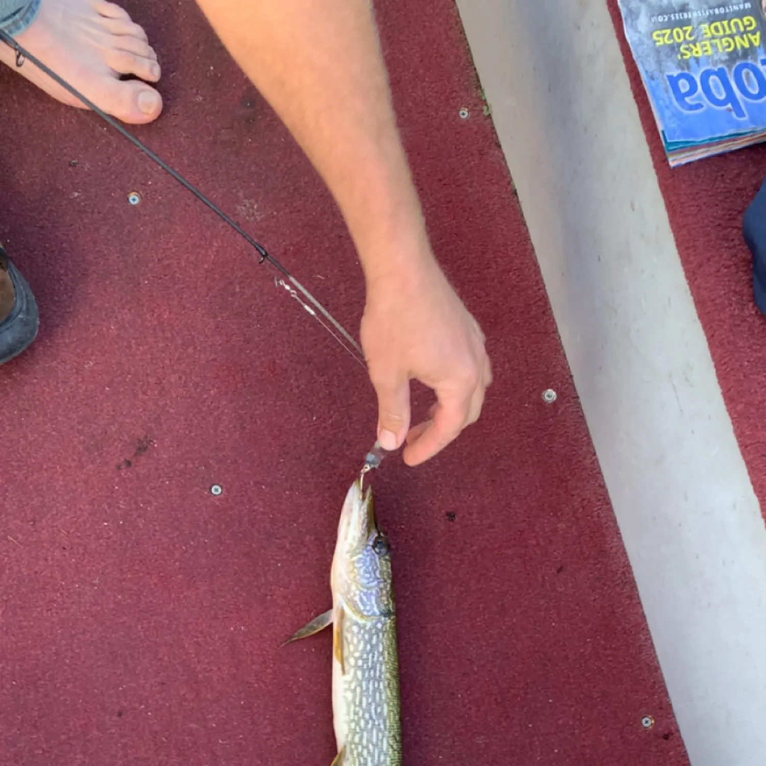 recently logged catches