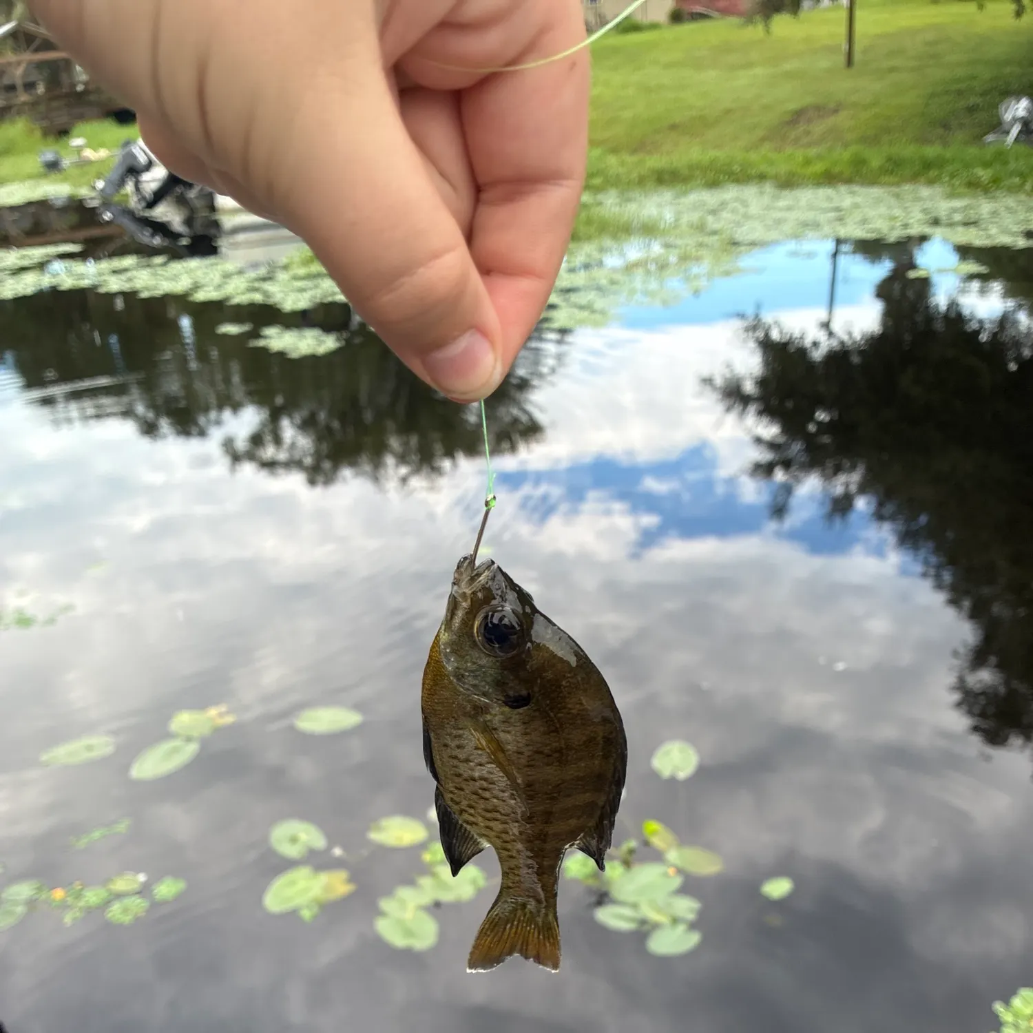 catch