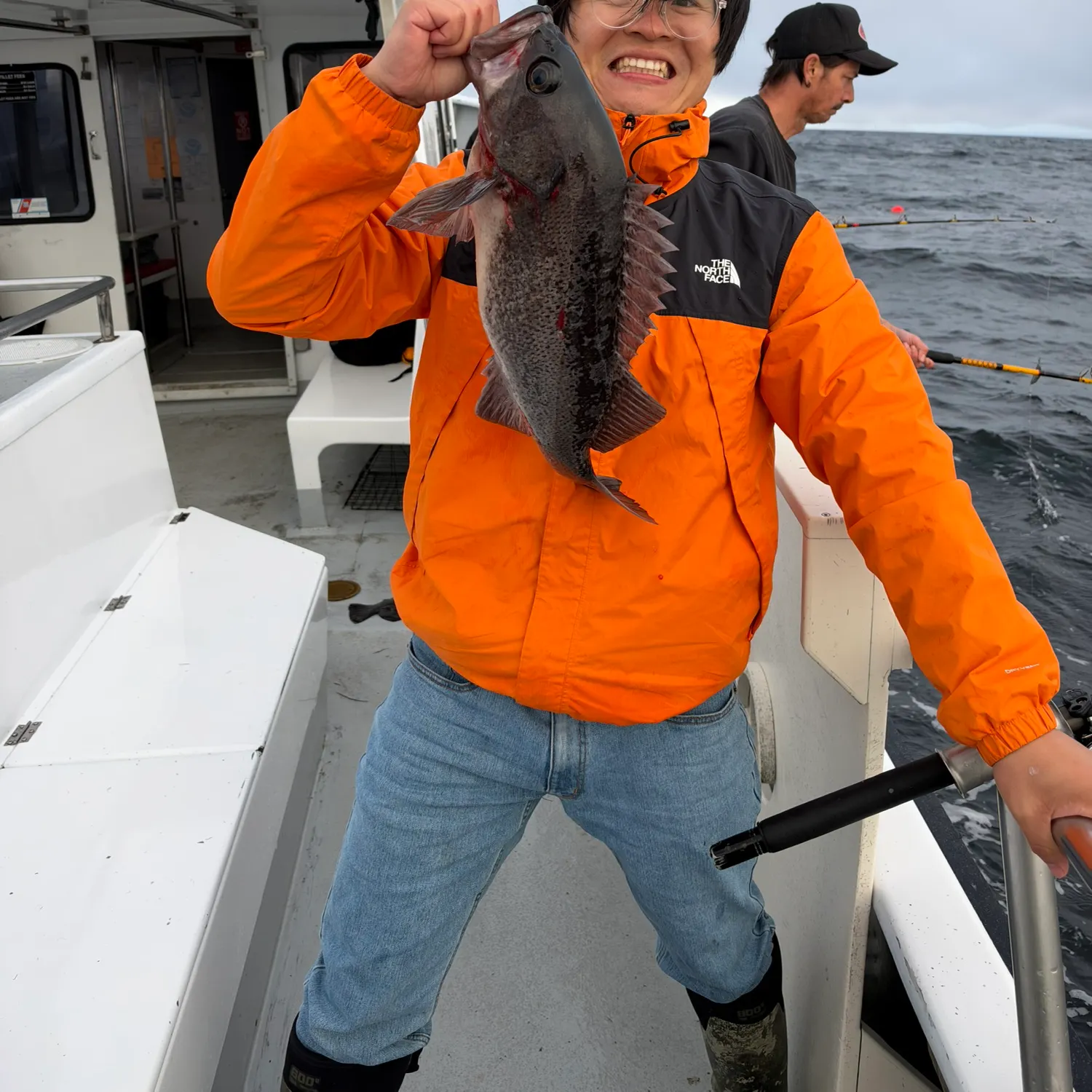 Black rockfish caught on Fishbrain