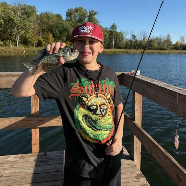 Black crappie caught on Fishbrain
