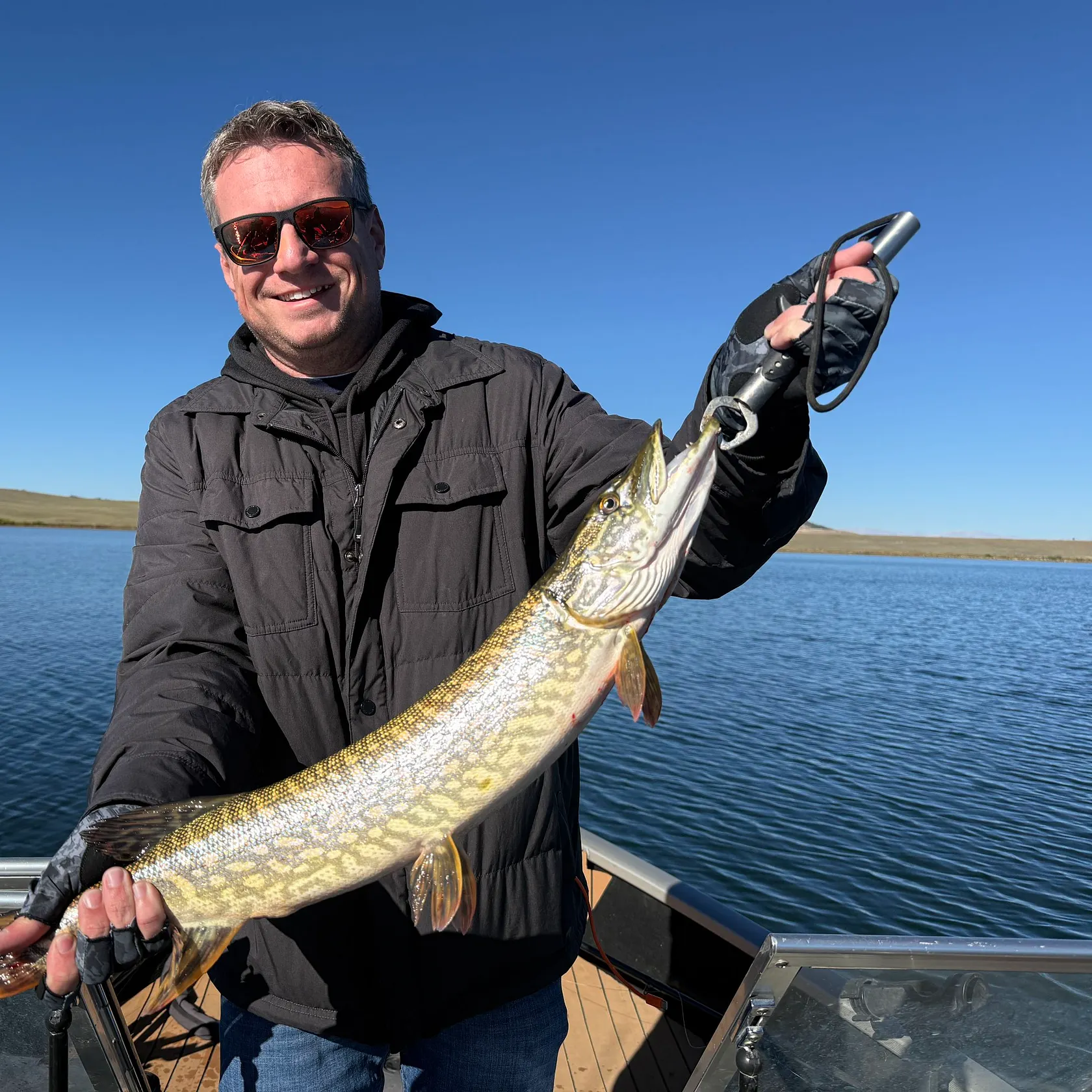 Northern pike caught on Fishbrain
