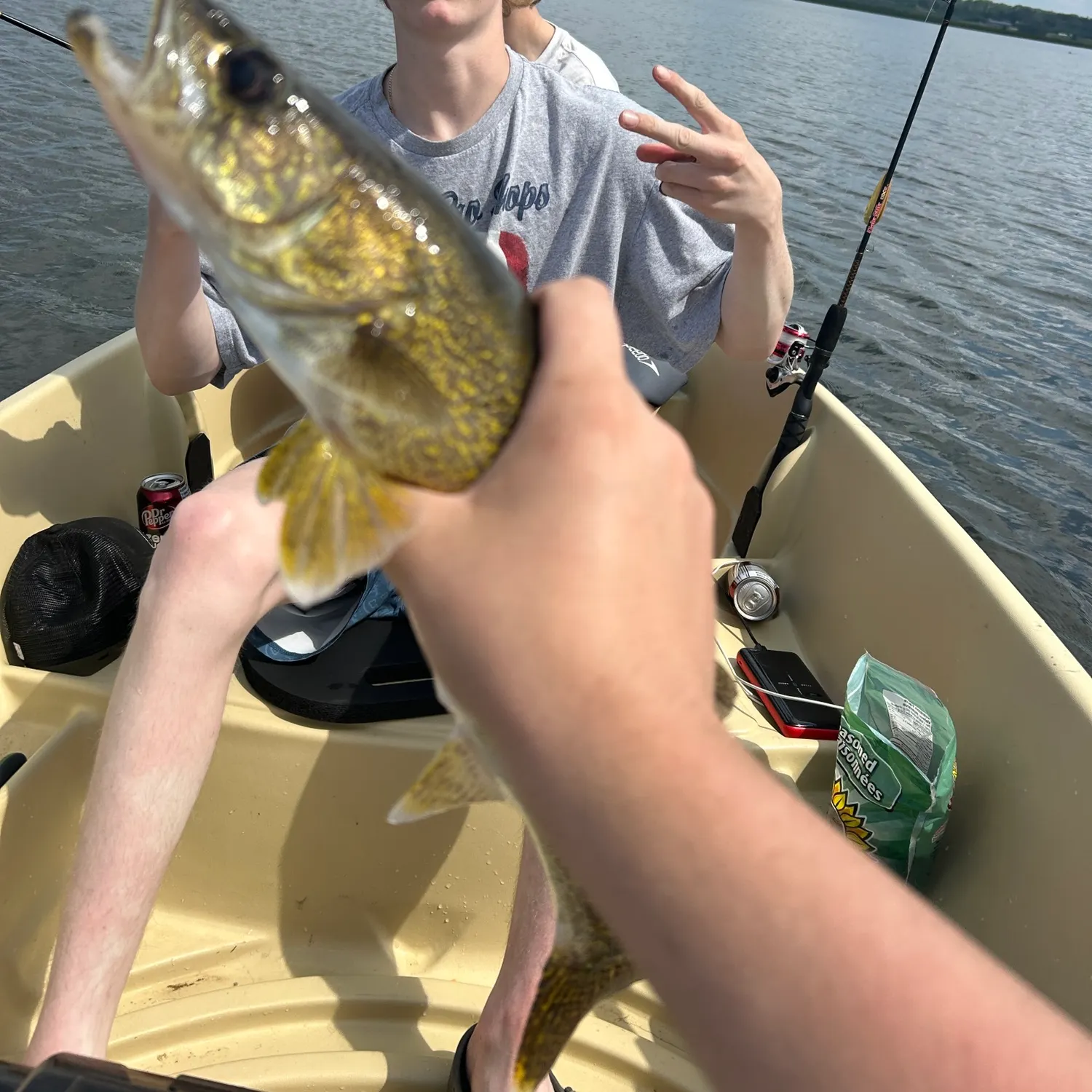 The most recent Walleye catches on Fishbrain