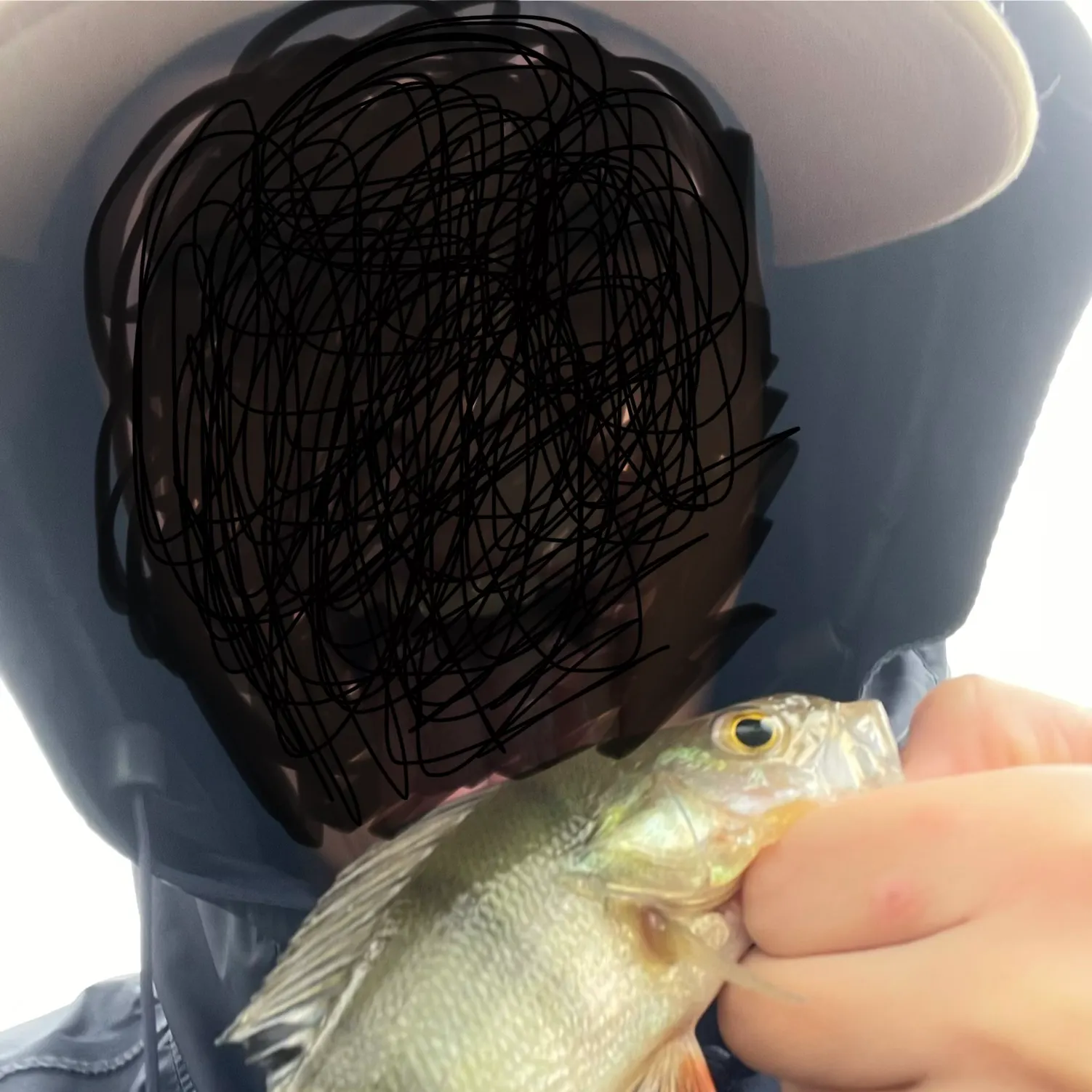 The most recent European perch catches on Fishbrain