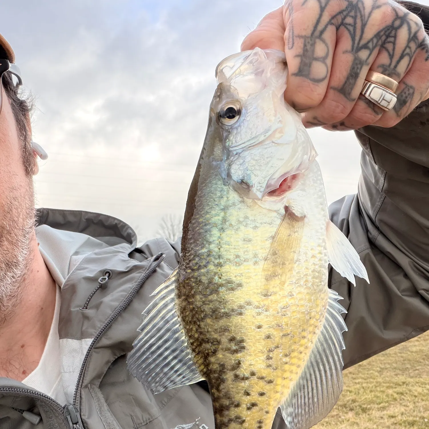 The most recent White crappie catches on Fishbrain