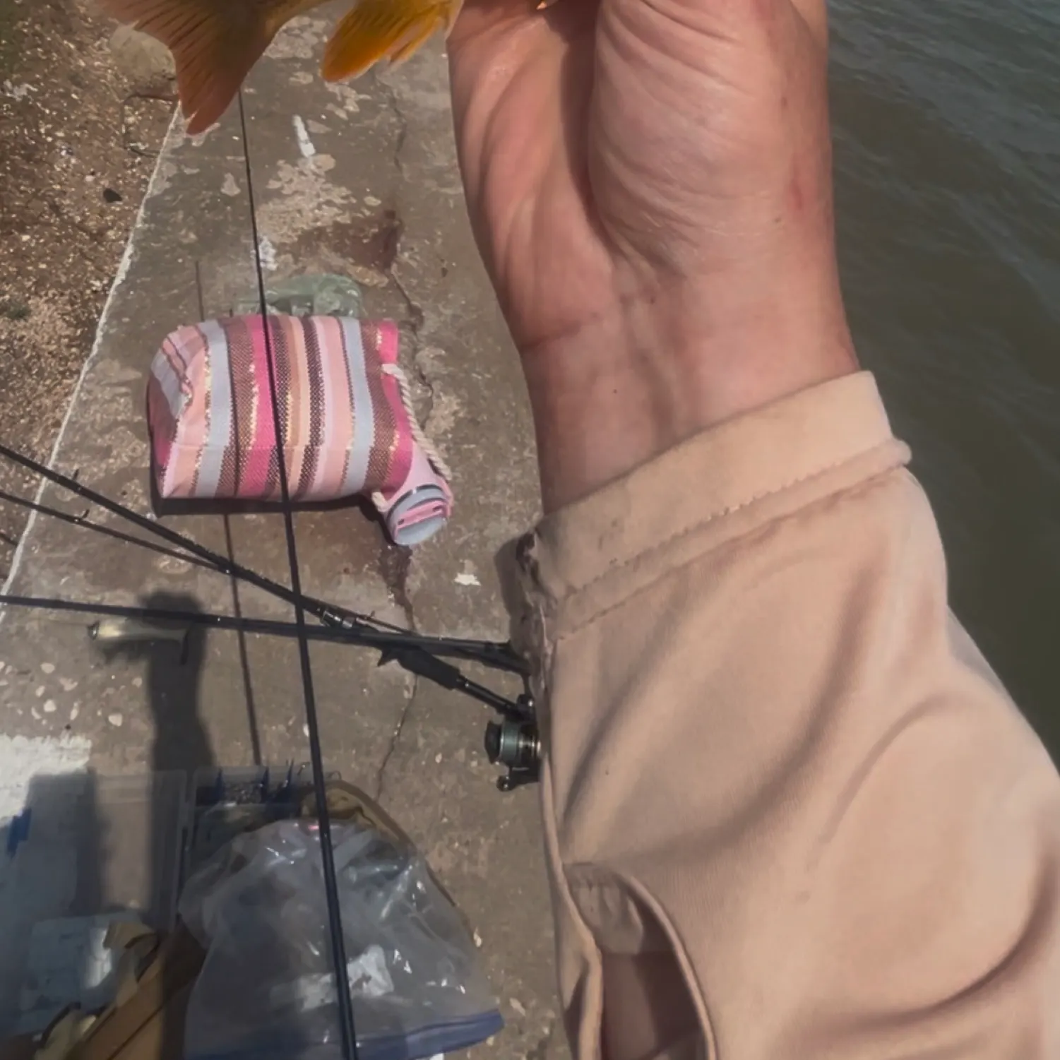 most liked catch image