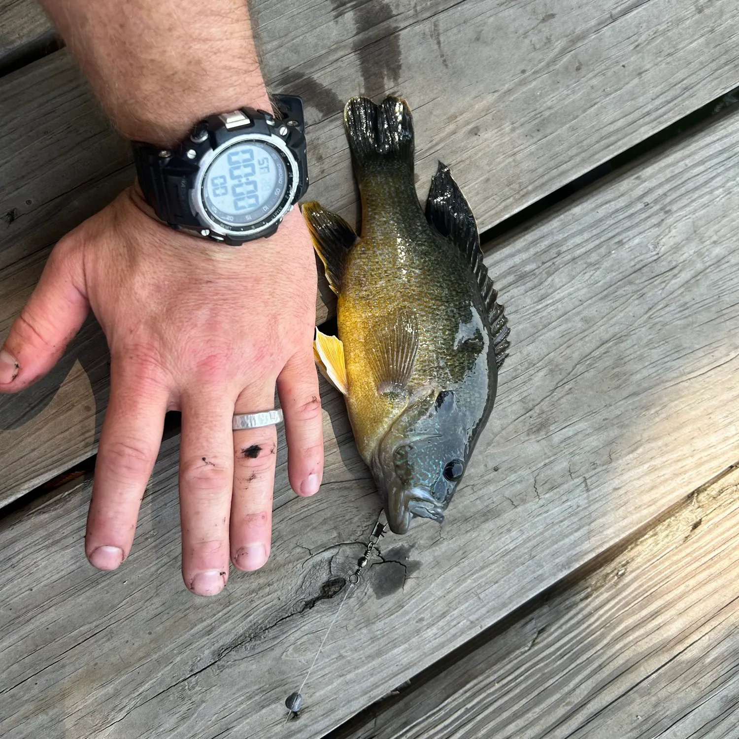 catch